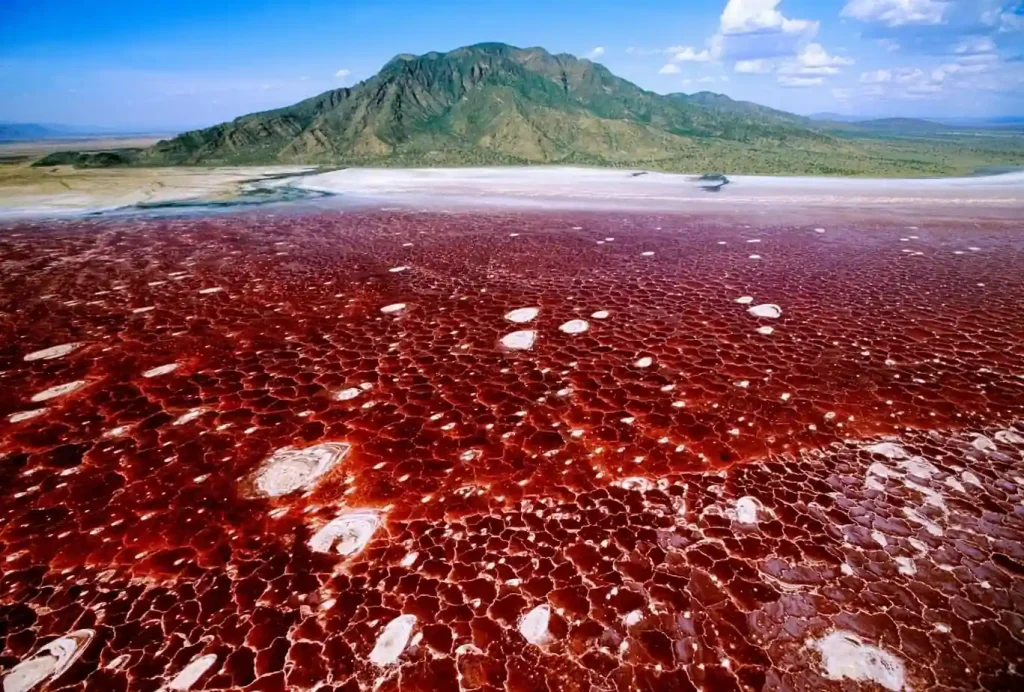 Lake Natron in The Great Rift Valley Tanzania