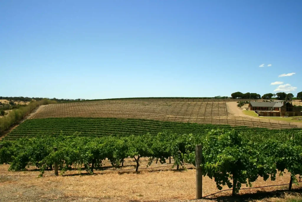 Relax in the Barossa Valley, South Australia