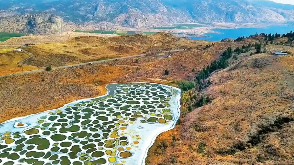 Spotted Lake in the Okanagan Valley