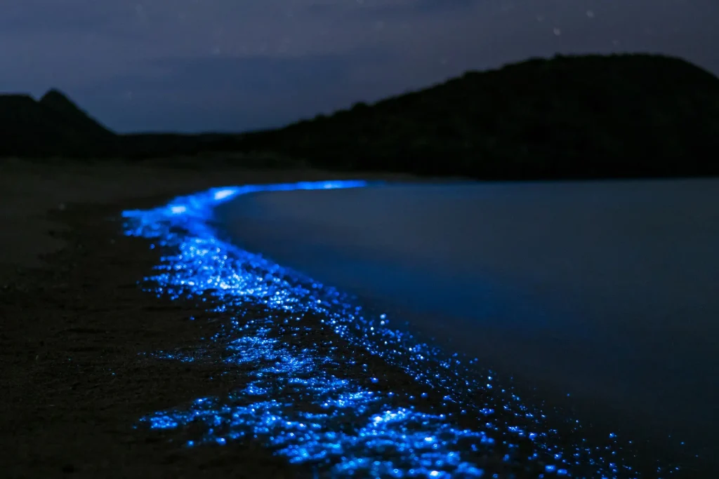 The Sea of Stars on Vaadhoo Island