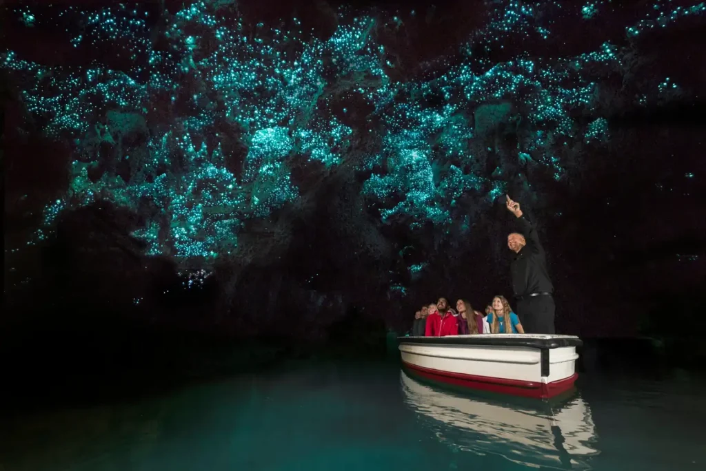 Waitomo Caves, New Zealand