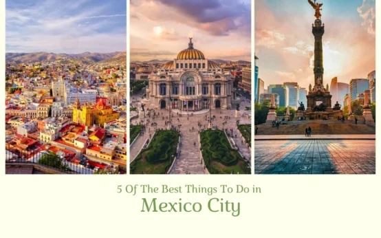 Best Things To Do in Mexico City