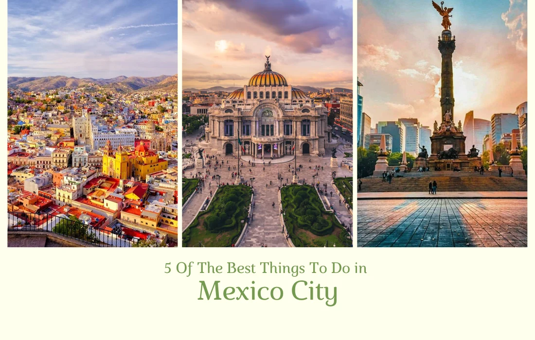 Best Things To Do in Mexico City