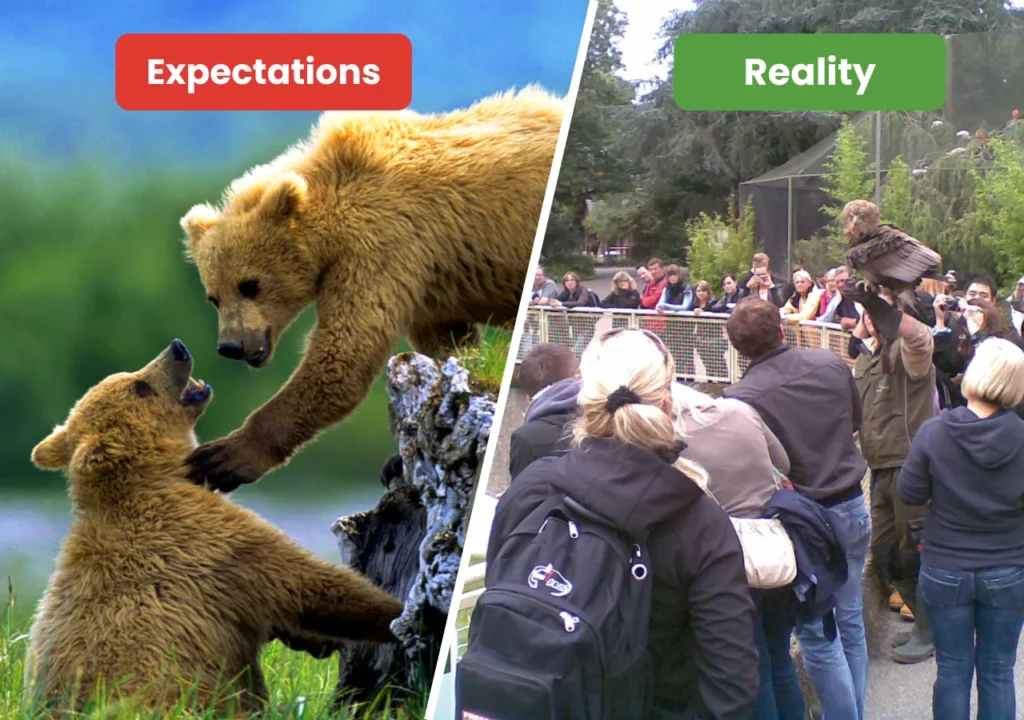 Amazing Wildlife Encounters vs. Just Another Crowded Zoo Visit 1