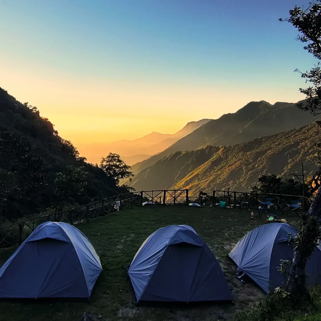 Munnar, Kerala