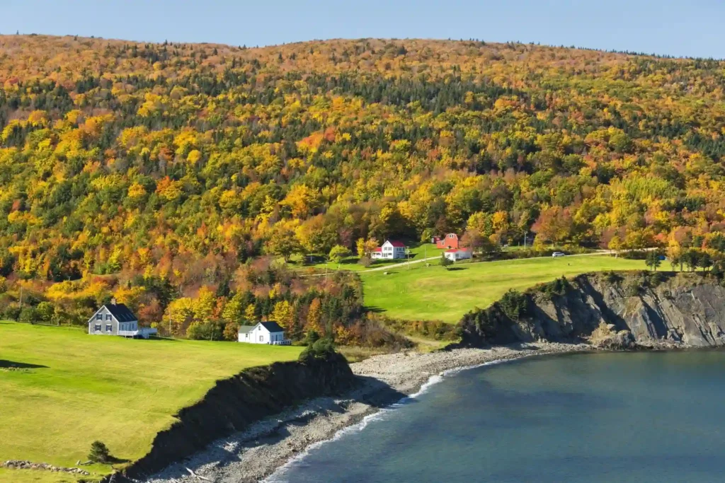 A coastal landscape on Cape Breton Island, Canada, featuring a rocky shoreline with gentle waves, green fields, and a scattering of white and red-roofed houses. The backdrop is a hillside covered in a mix of green, yellow, and orange autumn trees under a clear blue sky.