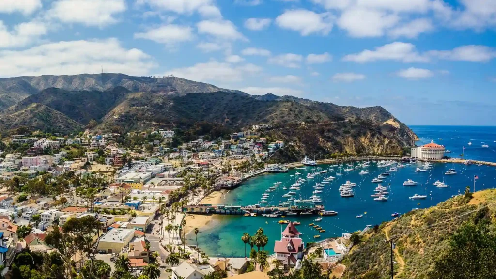 Catalina Island California