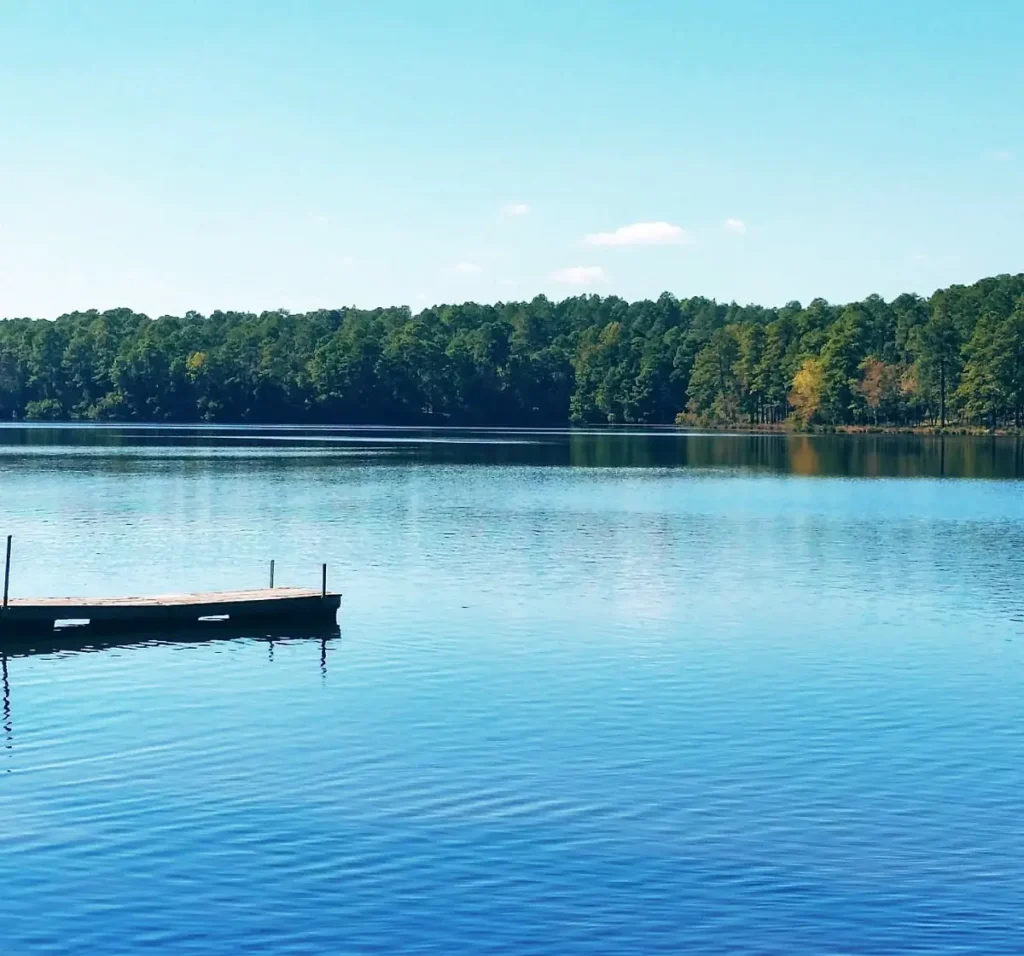 A tranquil lakeside scene under a clear blue sky, with a wooden dock extending into the calm water. Dense forest with green trees lines the far shore. Small ripples dot the lake surface, reflecting the sky and trees beautifully.