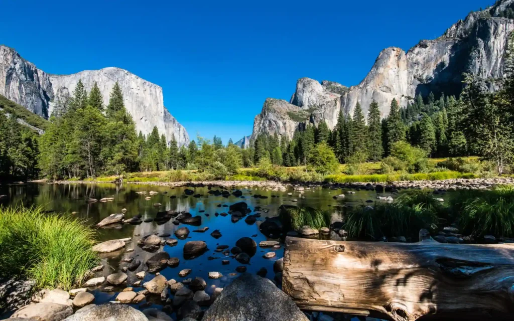 Yosemite National Park