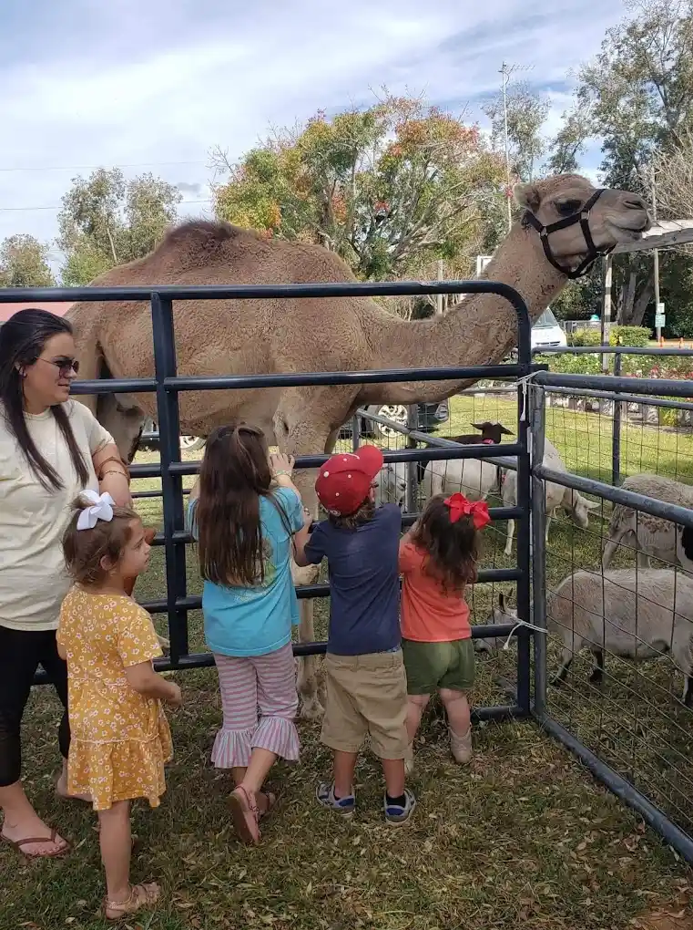 Dothan Zoo