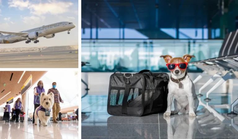 The Role of Pet-Friendly Airlines