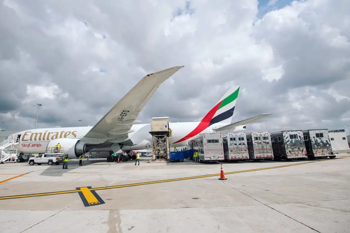 airlines cargo in UAE