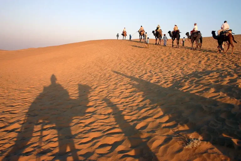 A group of people riding camels traverse a vast, sunlit desert landscape. Shadows of camels and riders stretch across Rajasthan Rugged Trails. The sky is clear, and the sun appears to be setting, casting warm tones over the scene.